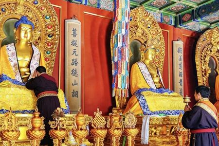 Private Tour to Lama Temple, Tian'anmen Square and Forbidden City