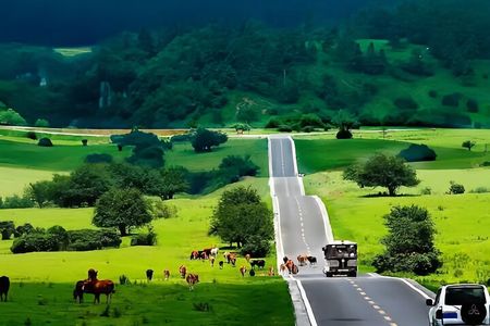 Chongqing Private 1-Day: Natural Stone Bridge&Fairy Mountain Park