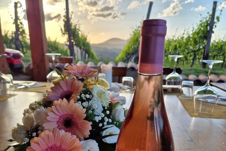 Vineyard Tasting and Aperitivo Day Trip from Rome