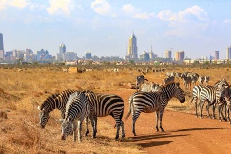 Half Day Guided Tour in Nairobi National Park with a 4WD
