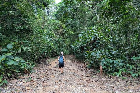 Jungle and Heritage Walk in Singapore