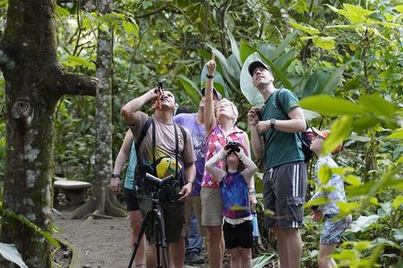 Combo Twilight Experience : Sloth Encounter, snack & Night Walk