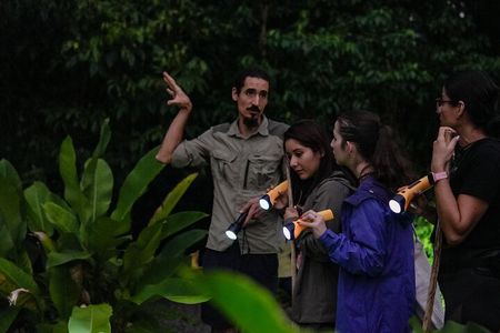 Combo Twilight Experience : Sloth Encounter, snack & Night Walk