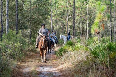 1-Hour Goethe Forest Horseback Trail Ride