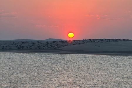 Doha Desert Safari Adventures in Day and Night 