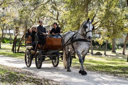 Sunset Carriage Ride and Dinner (Holds up to 4 People)