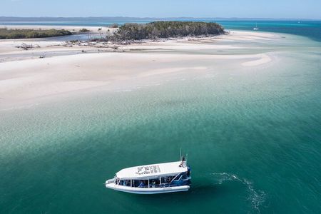 Great Sandy Straits Seven Island Ultimate Wildlife Cruise