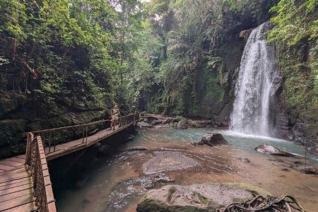 Half Day Tour: Discover Best of Ubud in 5 Hours
