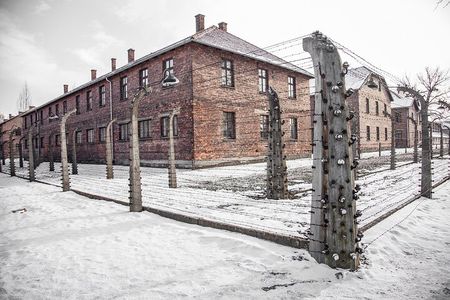 From Krakow: Auschwitz-Birkenau Memorial and Museum Guided Tour