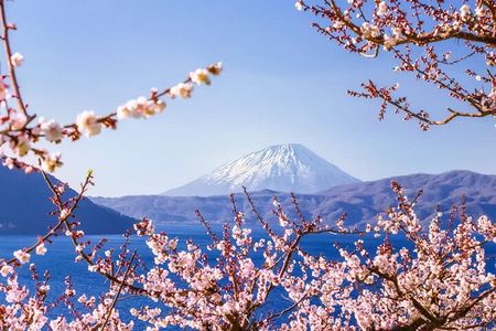 Tour at Sapporo from Noboribetsu to Otaru Canal with Guide