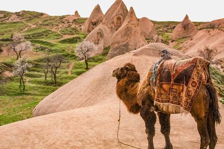 Cappadocia Wonders: Travel for Balloons, Camels & Ancient Sites