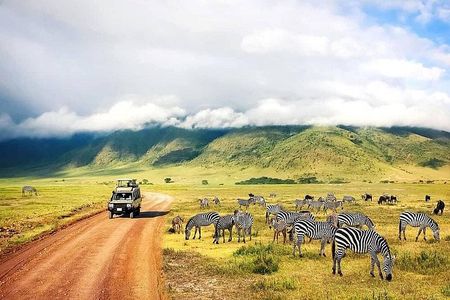 2 Day Fly In - Fly Out Zanzibar to Tarangire & Ngorongoro Safari