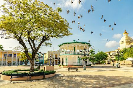 Private Shore Island Tour and City Highlights from Puerto Plata