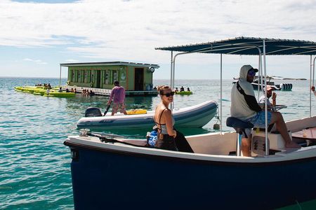 Taco Tug Tacos Turtles and Tiki Bars