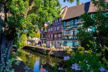 Alsace Wine Route Day Trip from Strasbourg: Colmar & Villages