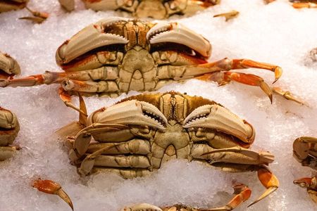 Seattle Seafood Tour