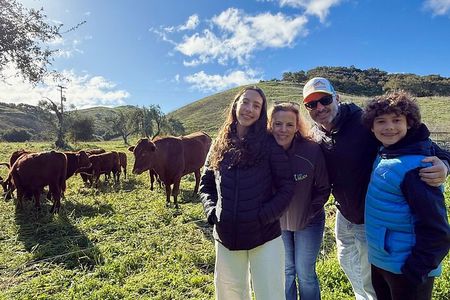 Savor the Valley: Cattle Ranch-to-Olive Grove On Farm Experience 