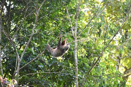 Peñas Blancas River: Wildlife Safari Experience by Raft