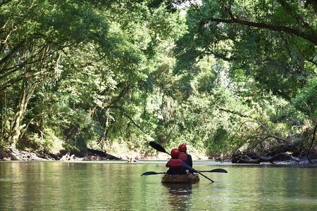 Peñas Blancas River: Wildlife Safari Experience by Kayak