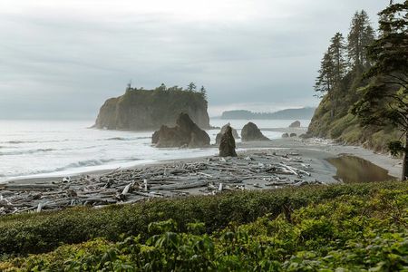 Olympic Two Day Private Tour and Hike