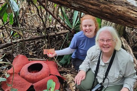 Cameron Highlands: Nature's Wonder Amazing Rafflesia Explorer