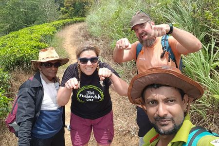 Full Day Hantana Pekoe Trail Hike from Kandy