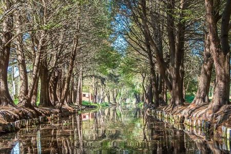 The City Green Exploring the Urban Eco Reserve of Xochimilco