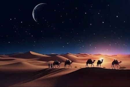 Doha Night Desert Safari Stargazing Camel Ride and Dune Bashing