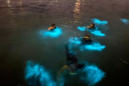 Grand Cayman - Bioluminescent Bay Tour