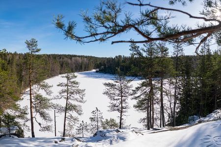 Helsinki: Nuuksio National park hiking with campfire lunch