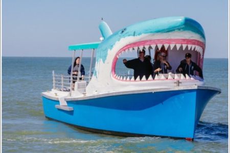Shark Boat Destin Dolphin Watch and Sunset Cruise