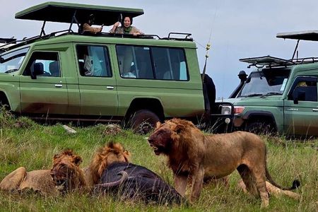 3 Day Maasai Mara Safari 4X4 Jeep Group Joining Daily Departures 