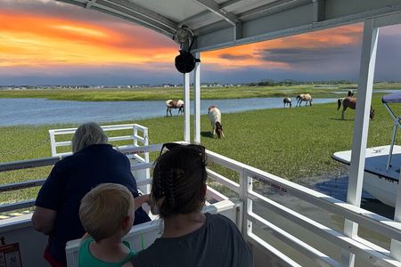 Narrated Sunset Wild Pony Cruise in Chincoteague