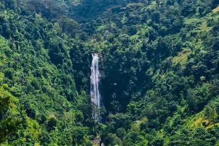 Moshi Materuni Waterfall Hike and Organic Coffee Tour