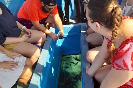 Elky Diani Glass Bottom Tour to Robinson Island