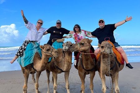 Full-Day Private Tangier Tour from the Cruise Ship