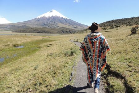 Cotopaxi Volcano and Colonial Farm Day Trip