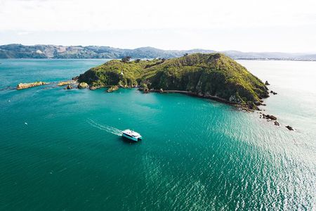 Wellington 90 minute Harbour Cruise