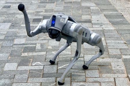 Shenzhen 0.5 or 1 Day: "Tech Focus Tour" or "Culture+Tech Tour"