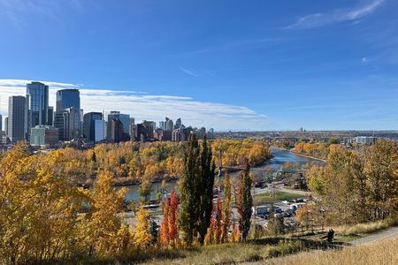 Calgary Nature Loop Private Tour: The Urban Wild