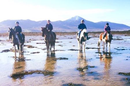 Beach & countryside horse riding outside Westport. Guided. 1 hour