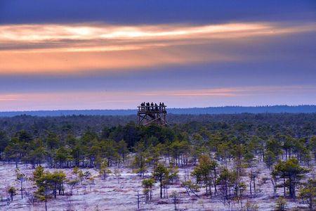 From Riga: Jurmala and Kemeri National Park Tour + Baltic Sea