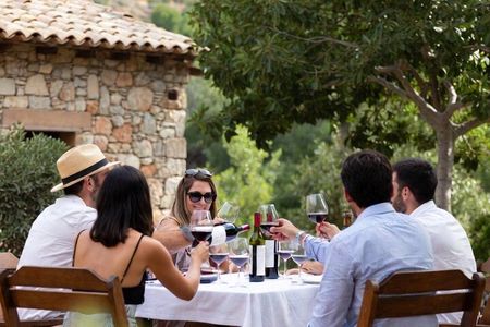 Alicante Full-Day Wine Tour Two Wineries & Tastings
