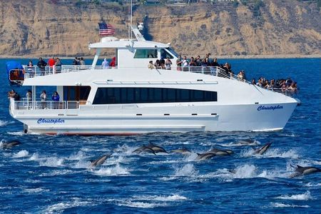 Los Angeles Whale Watching or Sightseeing Cruise & USS Iowa Tour