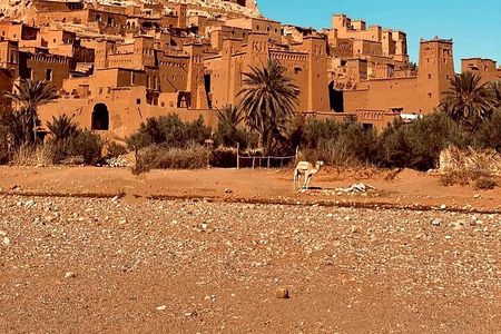 Kasbah Kasbah kasbah 