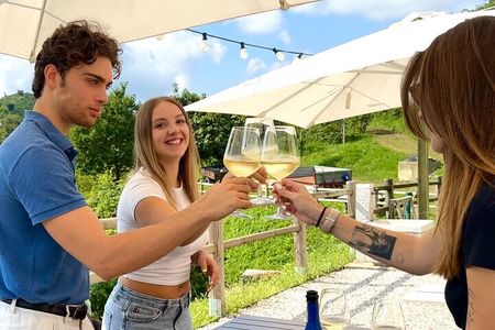 Experience Prosecco Hills with Wine and Food from Venice