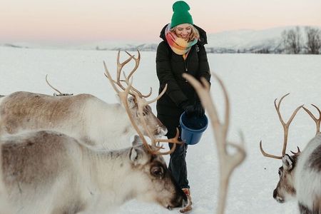 Reindeer Feeding and Sami Culture Including Lunch from Tromso