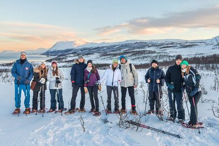 Tromso: Reindeer Feeding and Snowshoeing Tour with Lunch