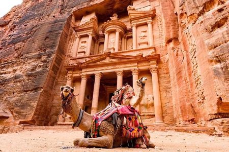 Petra Day Tour from Amman Explore the Red Rose City
