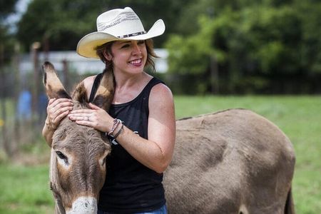 Farm to Picnic: Animals, Seasonal Upick Fruit & Countryside Lunch